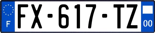 FX-617-TZ