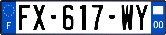 FX-617-WY