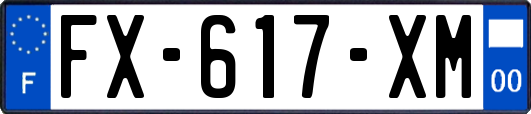 FX-617-XM