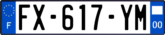FX-617-YM