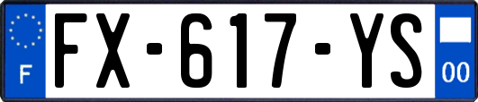 FX-617-YS