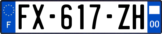 FX-617-ZH