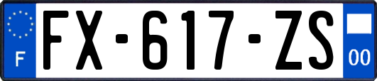 FX-617-ZS