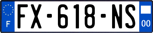 FX-618-NS