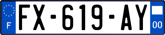FX-619-AY