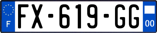 FX-619-GG