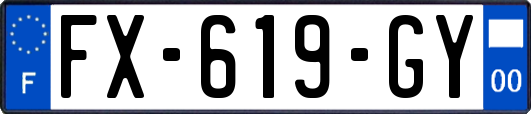 FX-619-GY