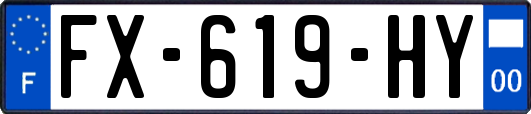 FX-619-HY