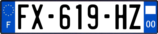 FX-619-HZ