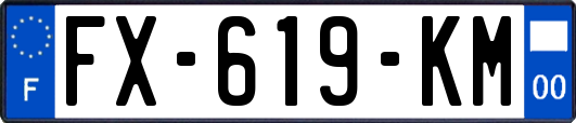 FX-619-KM