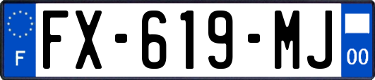 FX-619-MJ