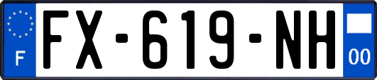FX-619-NH