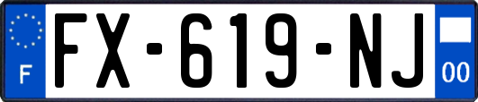 FX-619-NJ