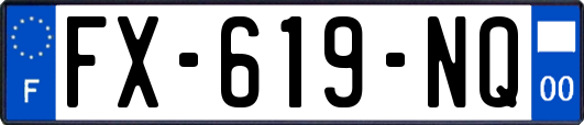 FX-619-NQ
