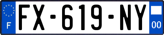 FX-619-NY