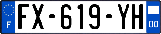 FX-619-YH