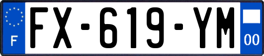 FX-619-YM