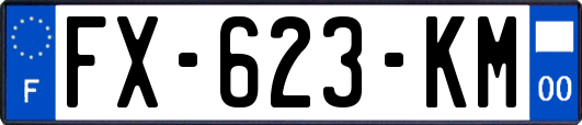 FX-623-KM
