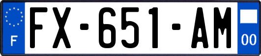 FX-651-AM