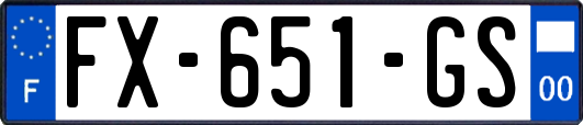 FX-651-GS
