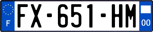 FX-651-HM