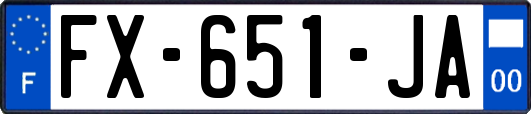 FX-651-JA