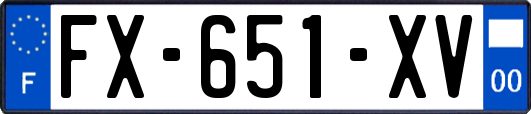 FX-651-XV