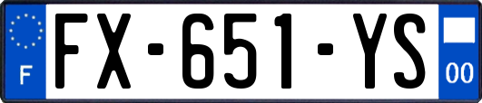 FX-651-YS