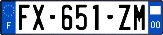 FX-651-ZM