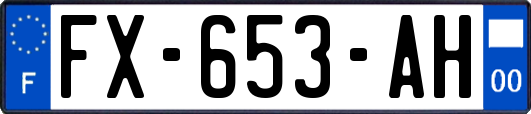 FX-653-AH