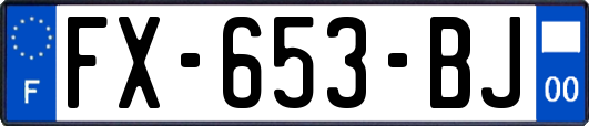 FX-653-BJ