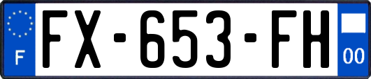 FX-653-FH