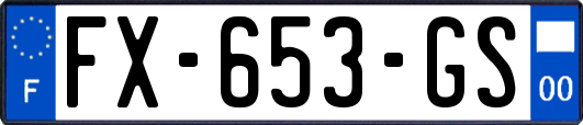 FX-653-GS