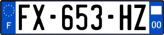 FX-653-HZ