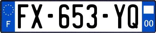 FX-653-YQ