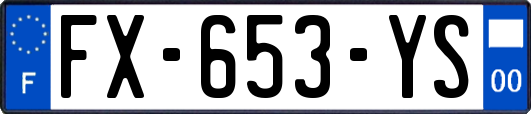 FX-653-YS