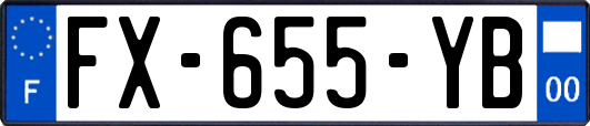FX-655-YB