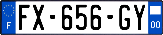 FX-656-GY