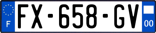 FX-658-GV