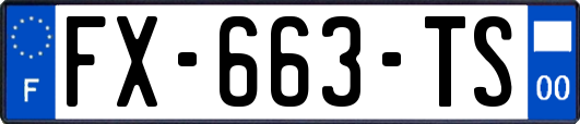 FX-663-TS