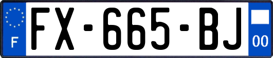 FX-665-BJ