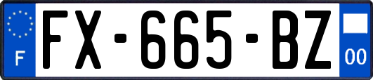 FX-665-BZ