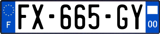 FX-665-GY