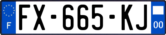 FX-665-KJ