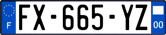FX-665-YZ