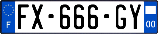 FX-666-GY