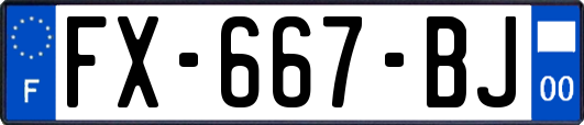 FX-667-BJ