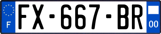 FX-667-BR