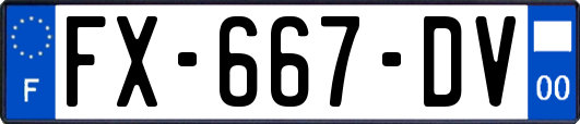 FX-667-DV