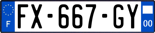 FX-667-GY